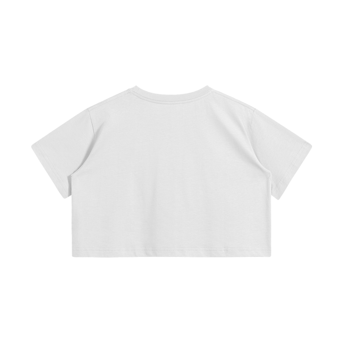 Lil' Drake Hater Crop Top